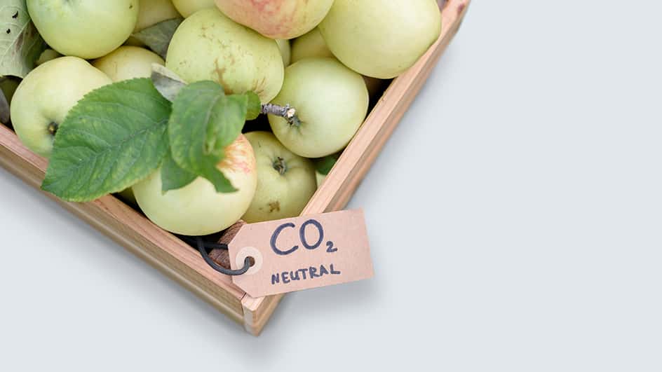 Foto di una cassetta di mele verdi, su sfondo azzurro, con etichetta di neutralità carbonica, per il servizio in Carboon Footprint di Prodotto.