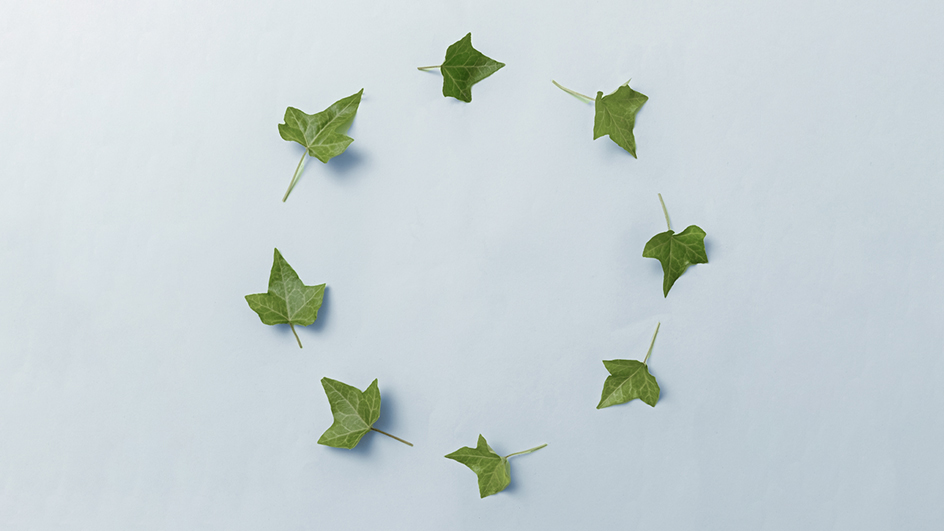 Immagine di foglie disposte in circolo per il servizio in Life Cycle Assessment per le aziende. Sfondo azzurro.